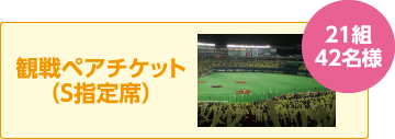 180組360名様 観戦ペアチケット(S指定席)
