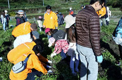 きらり里山学校活動風景4