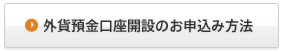 外貨預金口座開設のお申込み方法