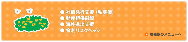 成熟期のメニューへ