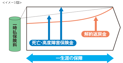 定額終身保険商品性イメージ図