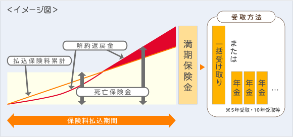 養老保険 イメージ図