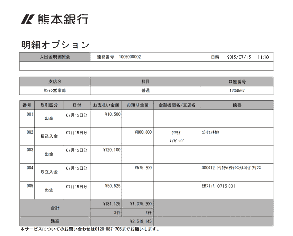 明細オプションPDFイメージ