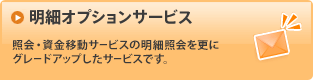 明細オプションサービス／照会・資金移動サービスの明細照会を更にグレードアップしたサービスです。