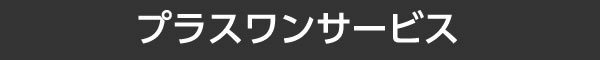 プラスワンサービス