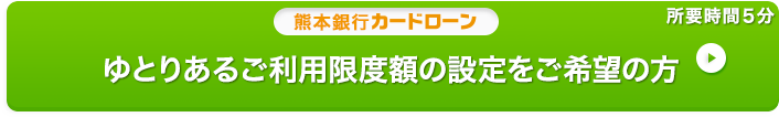 ゆとりあるご利用限度額の設定をご希望の方