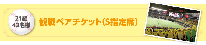 180組360名様 観戦ペアチケット(S指定席)