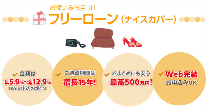 お使いみち自由!フリーローン(ナイスカバー)