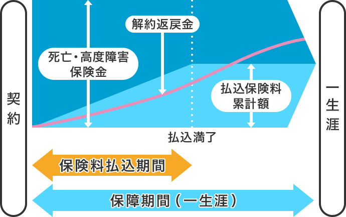 図:終身保険のイメージ/契約後一定の期間保険料を払込む。払込満了後、保障期間が一生涯続きます。払込期間に関わらず、死亡・高度障害保険金は一定です。