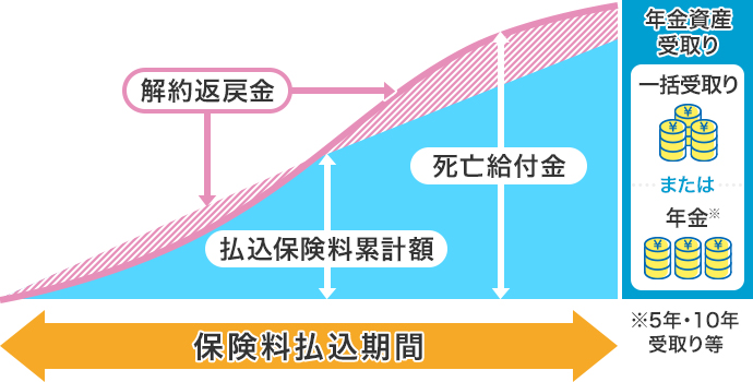 図:個人年金保険のイメージ図/保険料払込期間に払込をし、将来年金資産を一括または年金の形で受取りします/解約返戻金は払込期間によって払込累計額を下回る期間があります。死亡給付金あり/年金は5年・10年受取り等
