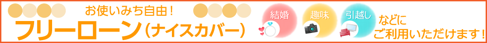 ナイスカバー