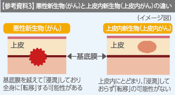 参考資料3