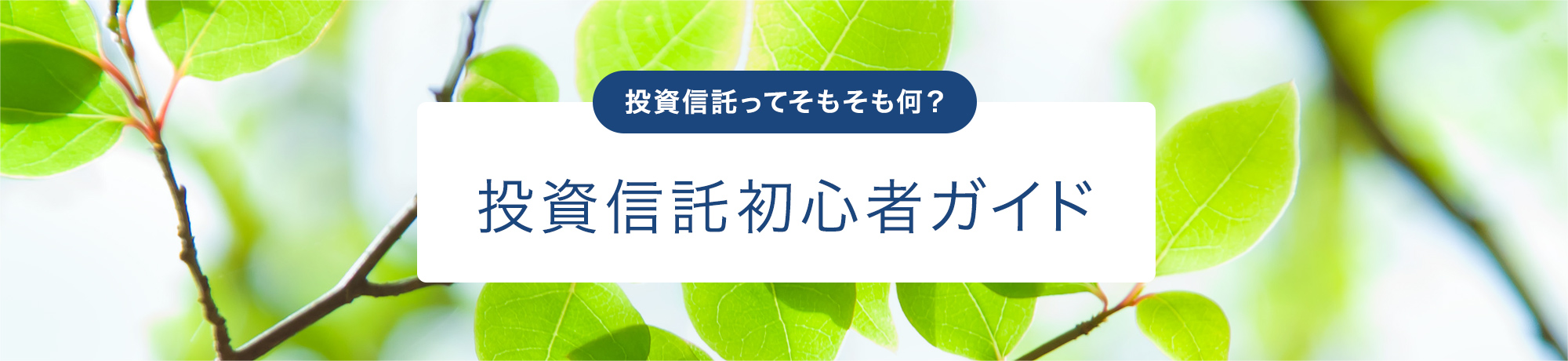 投資信託ってそもそも何？ 投資信託初心者ガイド