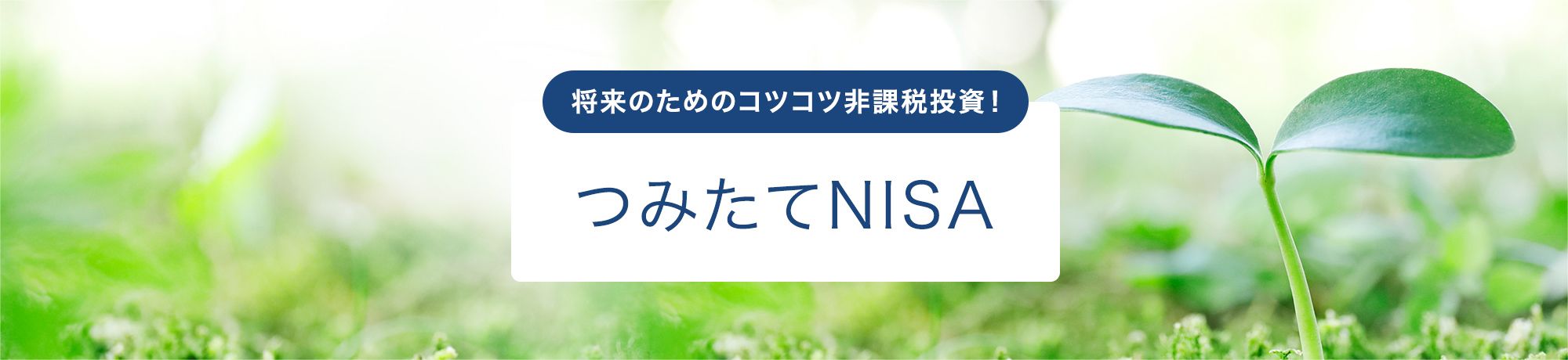 将来のためのコツコツ非課税投資! つみたてNISA